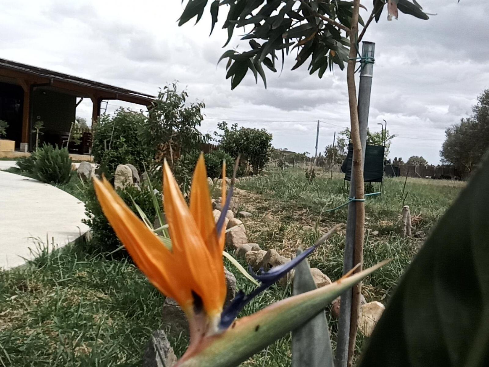 Podere Kiri Dome Experience Decimomannu Ngoại thất bức ảnh