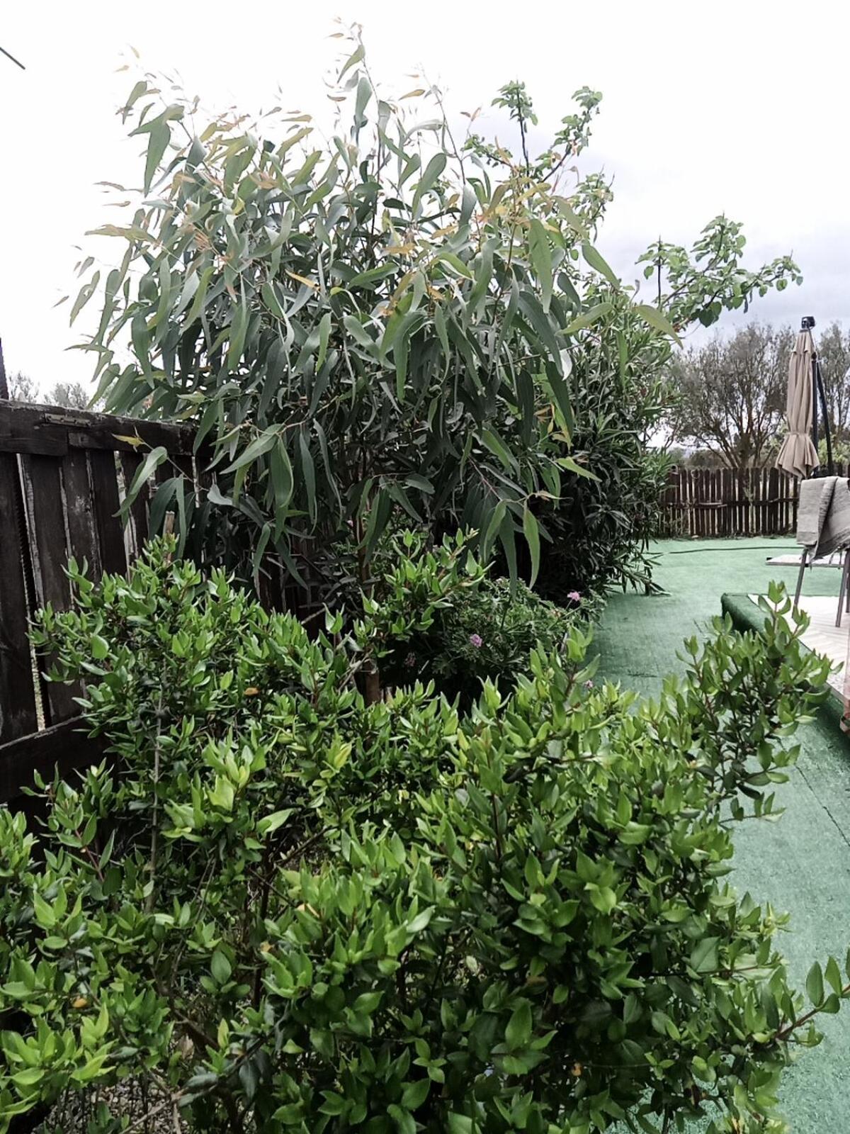 Podere Kiri Dome Experience Decimomannu Ngoại thất bức ảnh